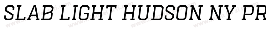 Slab Light Hudson NY Pro字体转换
